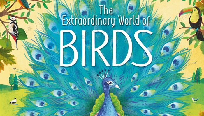 《The Extraordinary World of Birds》非凡鸟类世界DK科普英文绘本 百度网盘下载-学乐集