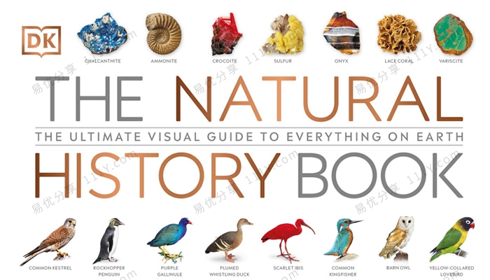 《The Natural History Book》DK自然史科普知识英文绘本PDF 百度网盘下载-学乐集