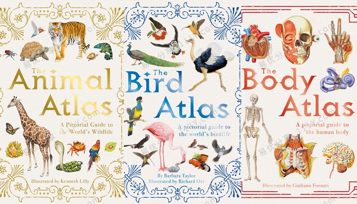 《Pictorial Guide Series》动物鸟类人体DK科普图集英文绘本 百度网盘下载-学乐集